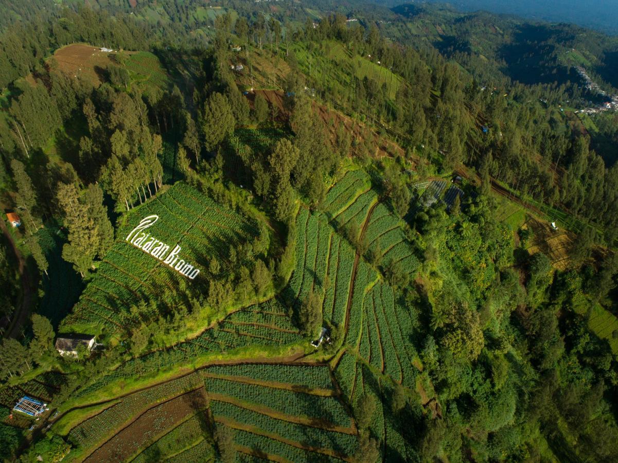 Plataran Bromo Hotell Exteriör bild