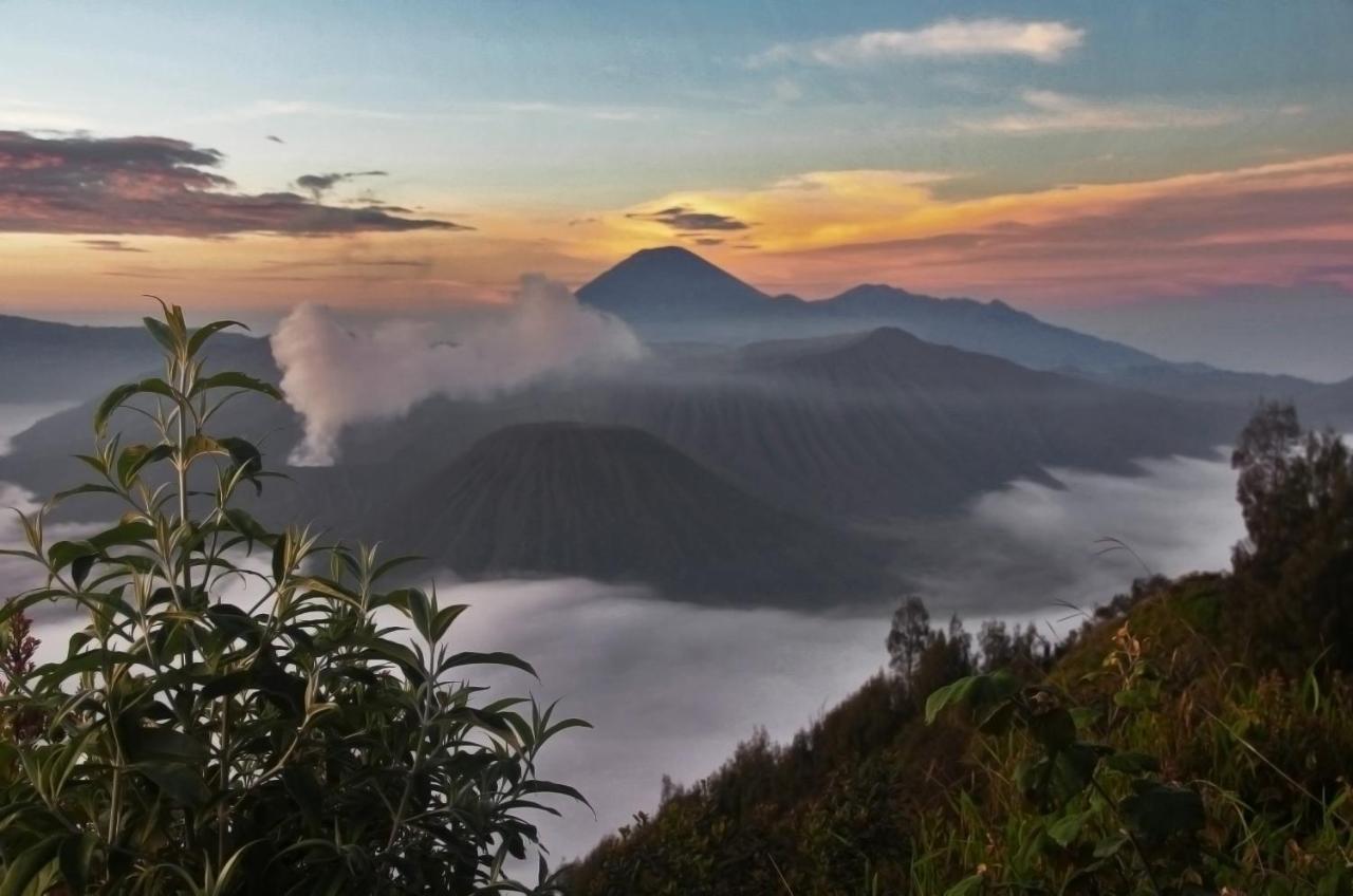 Plataran Bromo Hotell Exteriör bild